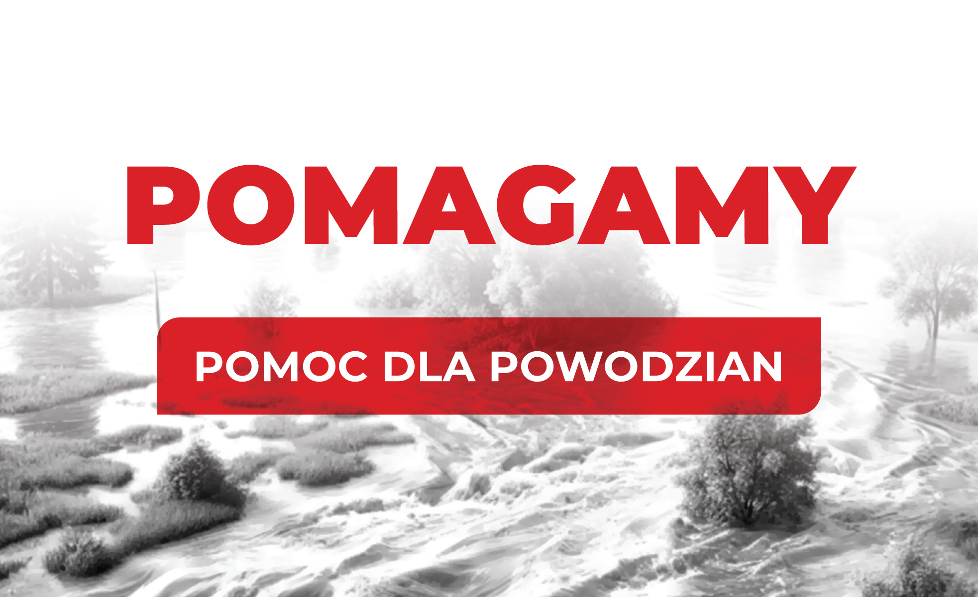 SFPP-Media-Whatsap-Pomagamy-HD1